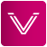 Virtual Meeting Chic
