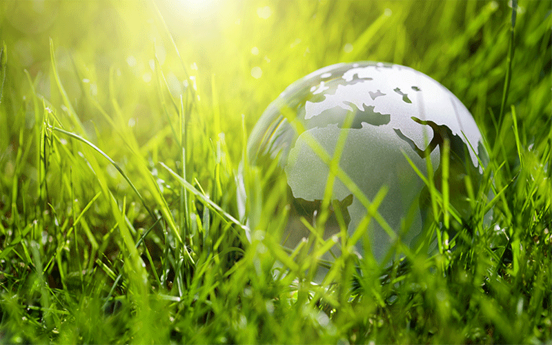 Glass globe in grass climate change concept